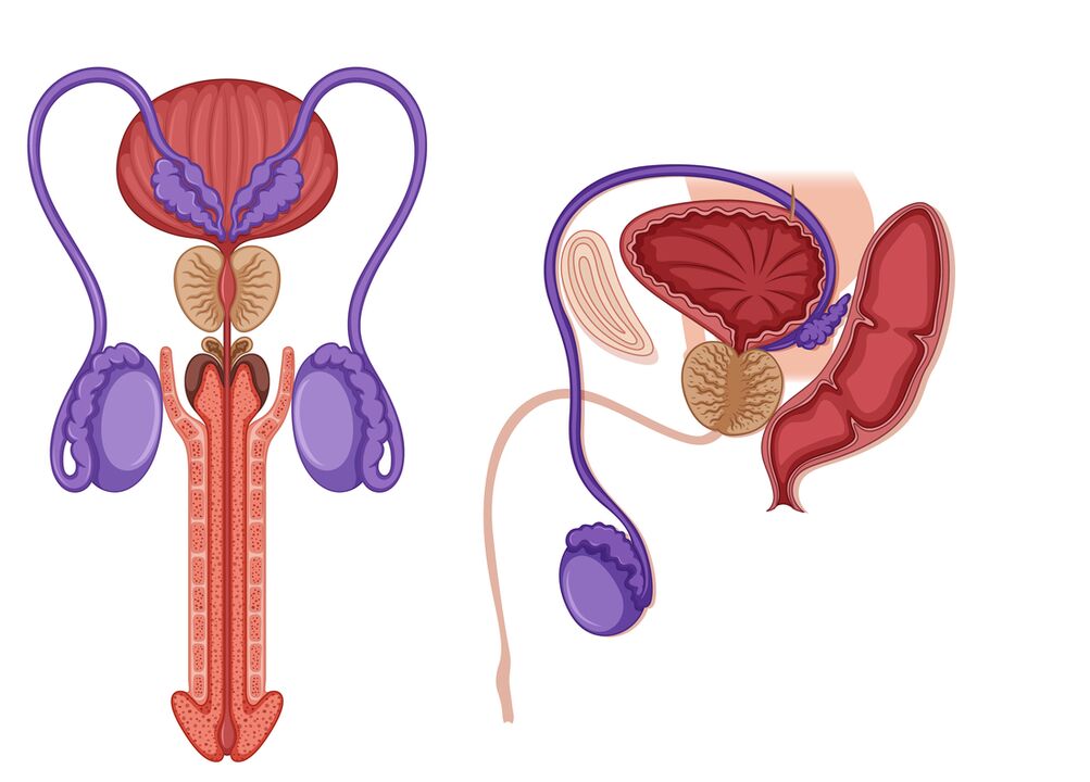 prostatitas vyrams