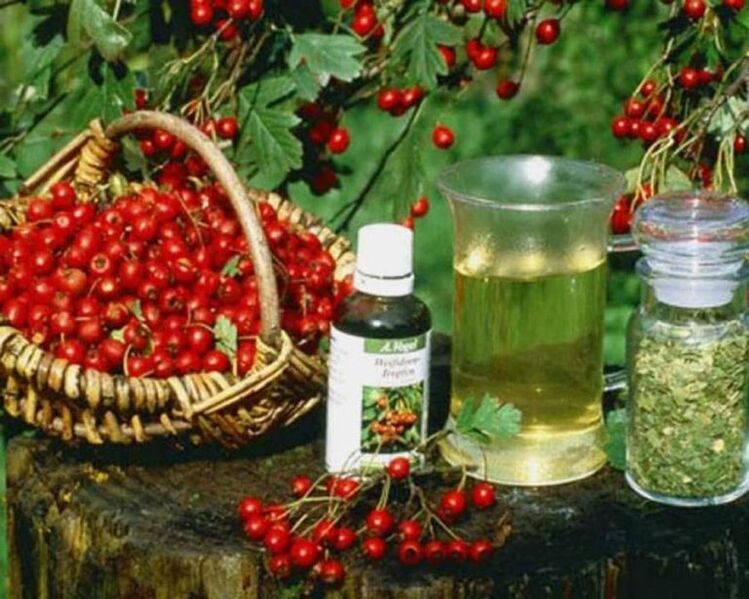 liaudies gynimo priemonės prostatito gydymui